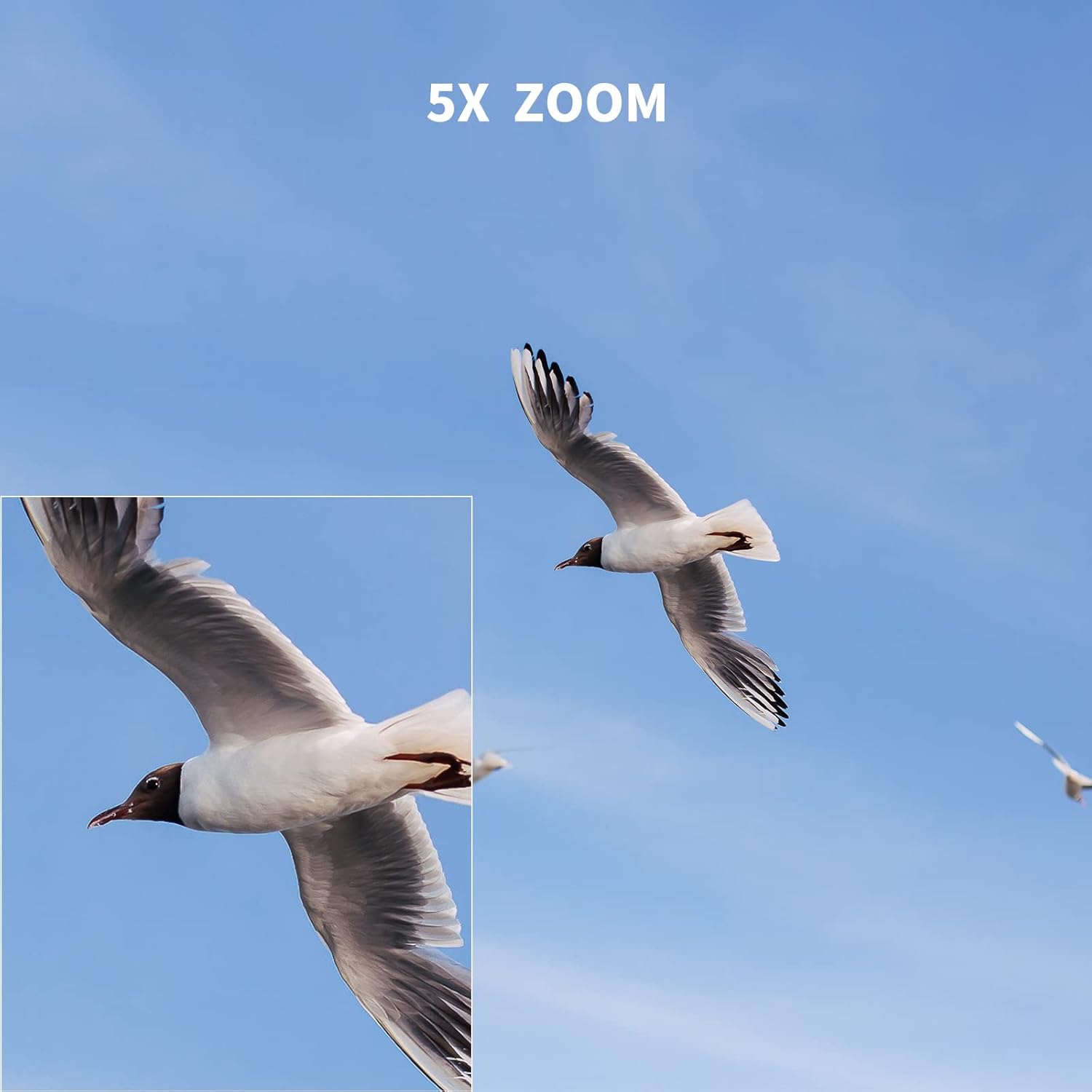 SJCAM SJ4000 Action Camera 4K, 40MP Waterproof Camera Underwater, EIS Stabilization Motorcycle Sport Camera, 170°FOV, 5X Zoom, Dual Batteries, 32G SD Card and Helmet Mount Accessories Kits - Image 4